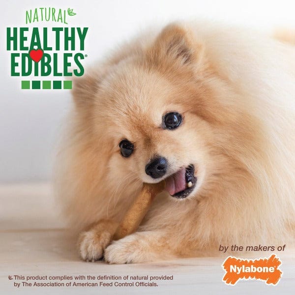 Nylabone Nylabone Healthy Edibles Roast Beef Flavour Petite Dog Chews