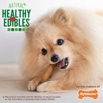 Nylabone Nylabone Healthy Edibles Roast Beef Flavour Petite Dog Chews