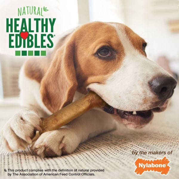 Nylabone Nylabone Healthy Edibles Roast Beef Regular Chews Twin Pack