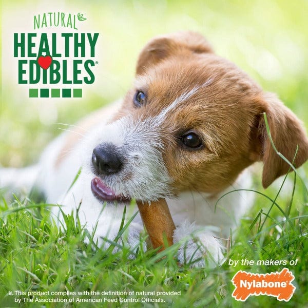 Nylabone Nylabone Healthy Edibles Roast Beef Wolf Chews Twin Pack
