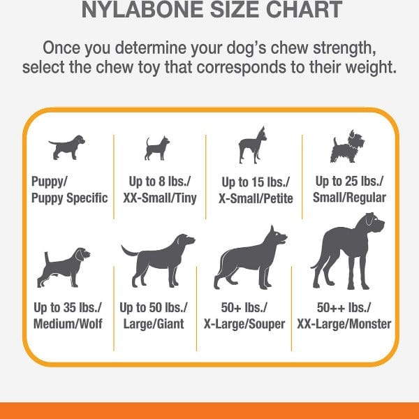 Nylabone Nylabone Power Chew Action Ridges Chew Toy