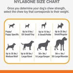 Nylabone Nylabone Power Chew Action Ridges Chew Toy