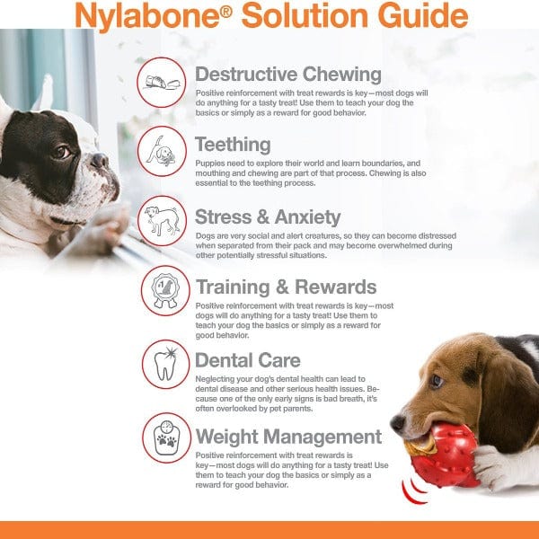 Nylabone Nylabone Power Chew Action Ridges Chew Toy