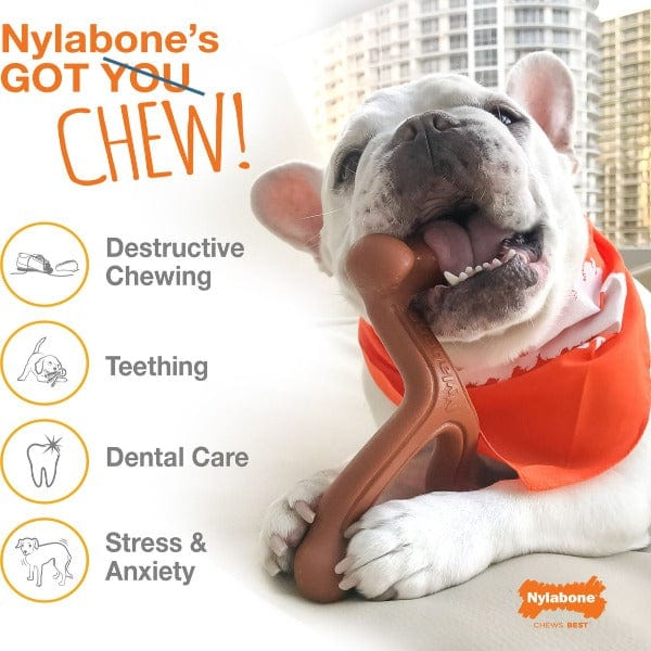 Nylabone Nylabone Power Chew Bacon & Chicken Durable Dog Chew Toy Pack