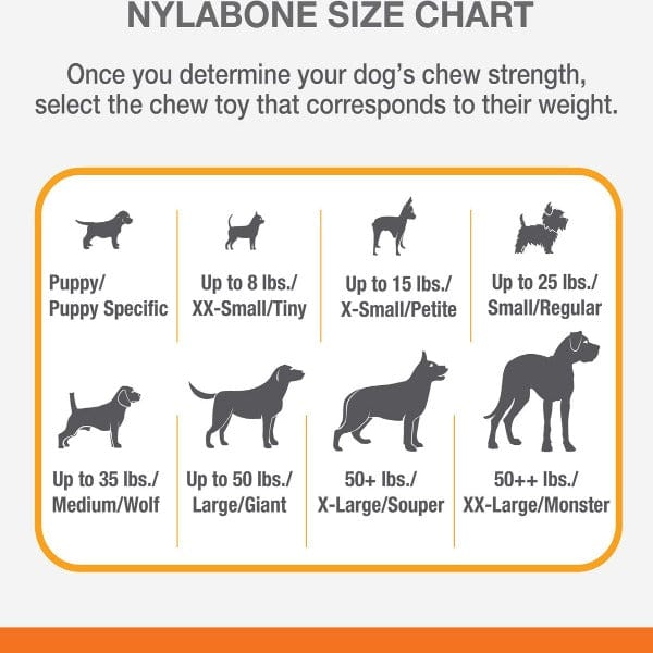 Nylabone Nylabone Power Chew Bacon & Chicken Durable Dog Chew Toy Pack