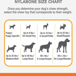 Nylabone Nylabone Power Chew Bacon & Chicken Durable Dog Chew Toy Pack
