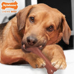 Nylabone Nylabone Power Chew Bacon & Chicken Durable Dog Chew Toy Pack