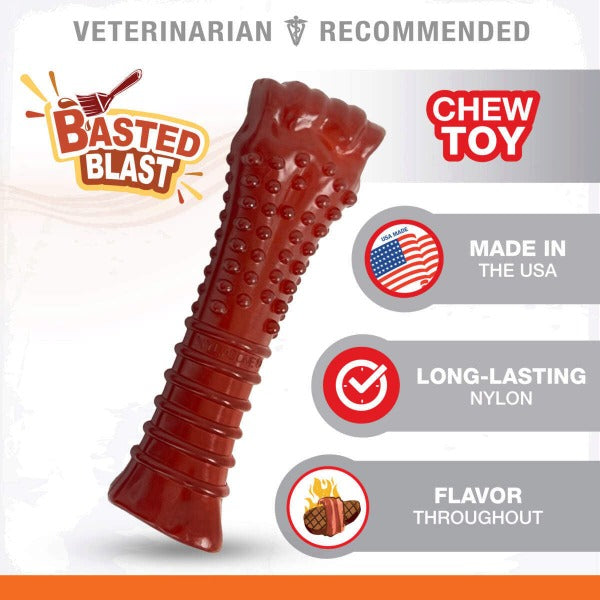 Nylabone Nylabone Power Chew Basted Blast Dual Flavored Dog Chew Toys