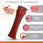 Nylabone Nylabone Power Chew Basted Blast Dual Flavored Dog Chew Toys