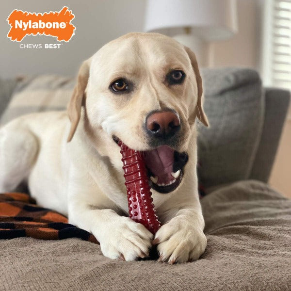 Nylabone Nylabone Power Chew Basted Blast Dual Flavored Dog Chew Toys
