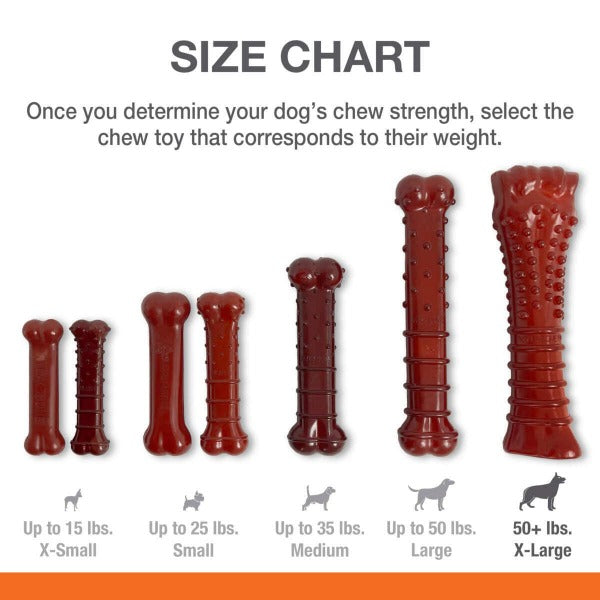 Nylabone Nylabone Power Chew Basted Blast Dual Flavored Dog Chew Toys