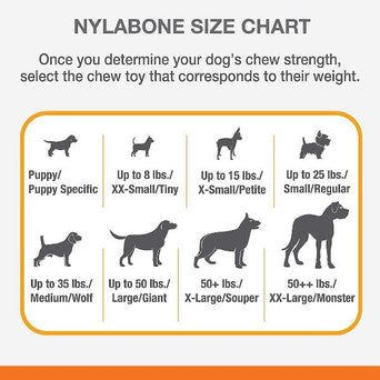 Nylabone Nylabone Puppy Teething Pacifier