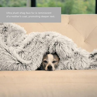 Outward Hound Best Friends by Sheri Luxury Shag Pet Throw Blanket
