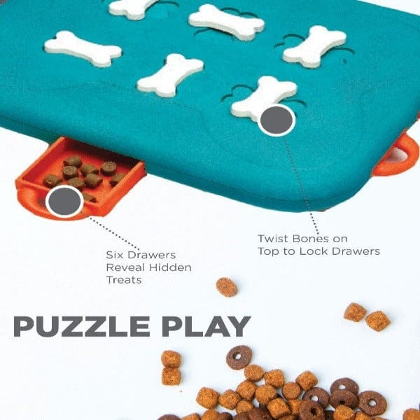 Dog casino interactive game 2025