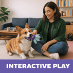 Outward Hound Outward Hound FlyFetch Birdie Replacements For Teaser Wand Dog Toy