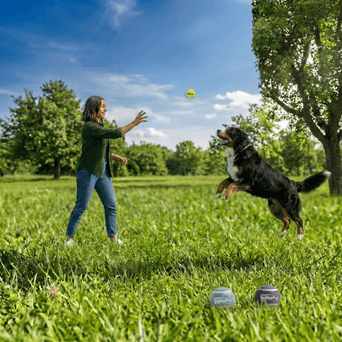 Outward Hound Outward Hound FlyFetch Squeaker Outdoor Ballz Dog Toys