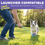 Outward Hound Outward Hound FlyFetch Squeaker Outdoor Ballz Dog Toys