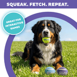 Outward Hound Outward Hound FlyFetch Squeaker Outdoor Ballz Dog Toys