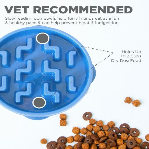 Outward Hound Outward Hound Fun Feeder Slo-Bowl