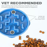 Outward Hound Outward Hound Fun Feeder Slo-Bowl