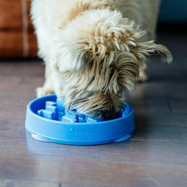 Outward Hound Outward Hound Fun Feeder Slo-Bowl