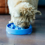 Outward Hound Outward Hound Fun Feeder Slo-Bowl