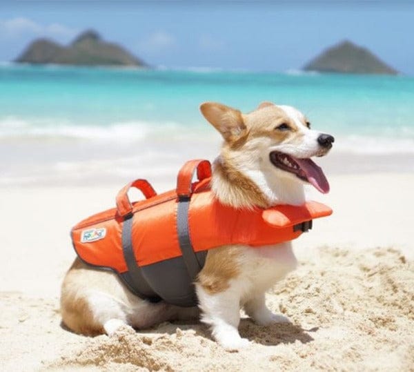 Outward Hound Granby Splash LifeJacket – Petland Canada