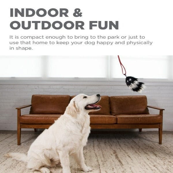 Outward Hound Outward Hound Tail Teaser Dog Wand, Black