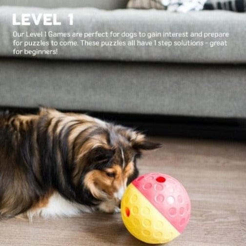 Outward Hound Outward Hound Treat Tumble for Dogs
