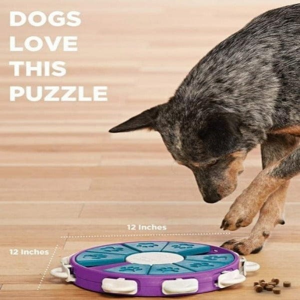 Outward Hound Outward Hound Twister for Dogs