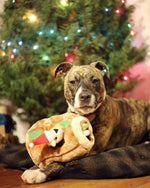 Outward Hound Outward Houndz Hide-a-Squirrel Holiday Dog Toy
