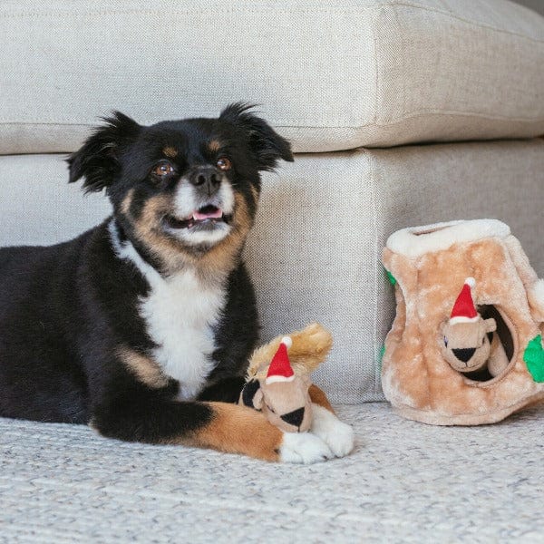 Outward Hound Outward Houndz Hide-a-Squirrel Holiday Dog Toy