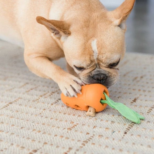 Outward Hound - Carrot - Small Squeaking Dog Toy