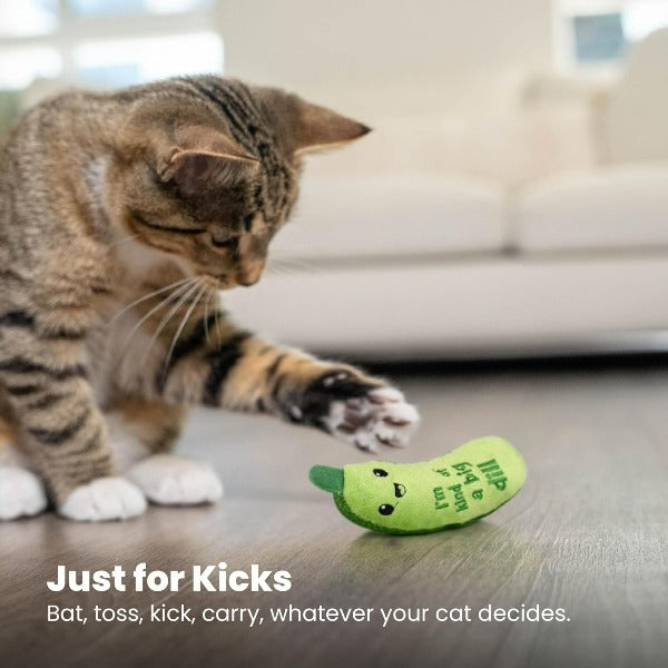 Petstages Crunchy Pickle Cat Toy – Petland Canada