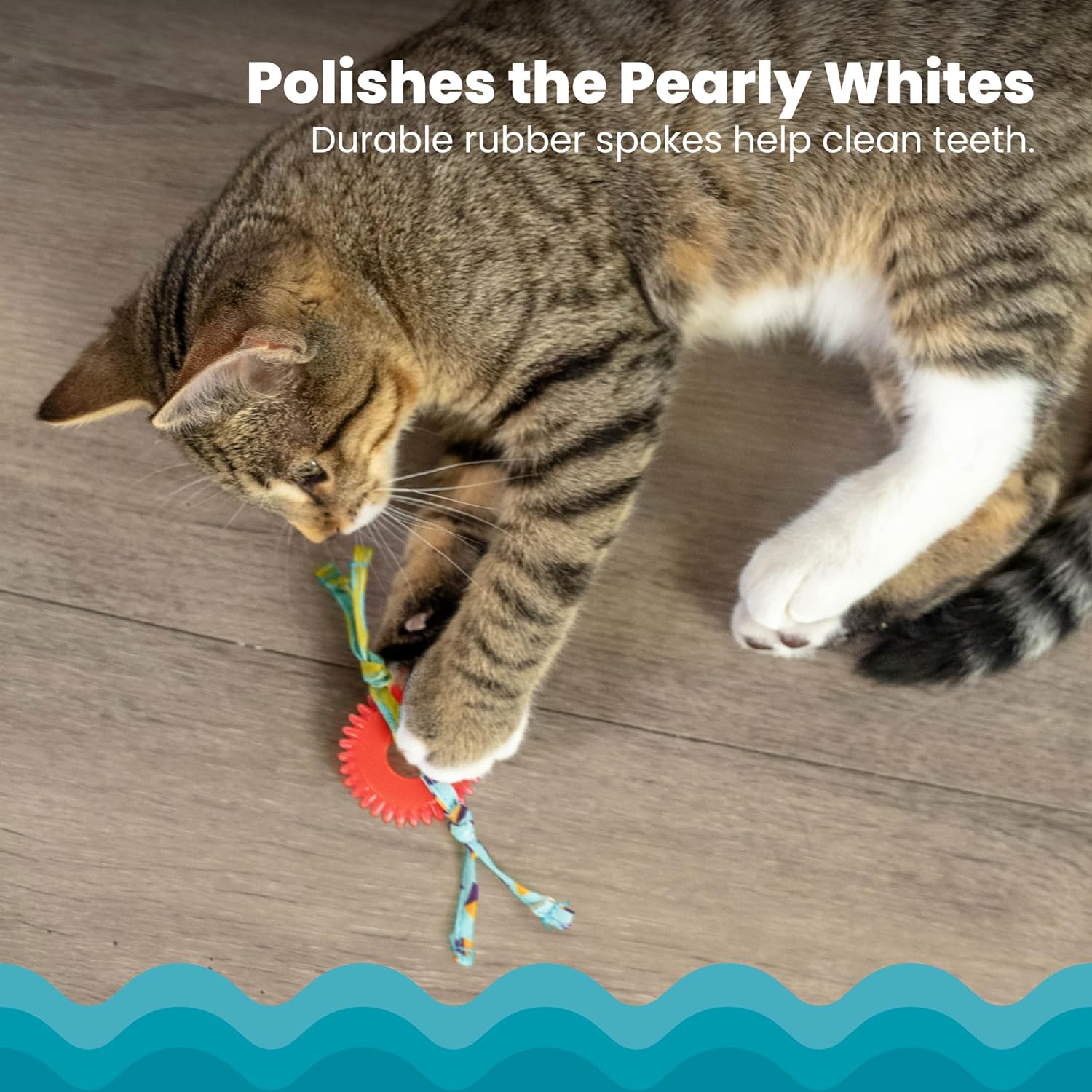 Petstages Dental Kitty Chew Wheel Cat Toy – Petland Canada