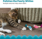 Outward Hound Petstages Dental Shrimpies Cat Toy