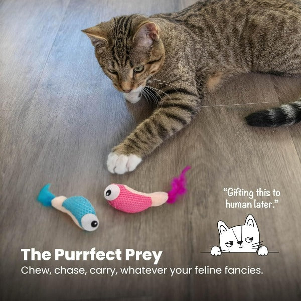 Outward Hound Petstages Dental Shrimpies Cat Toy