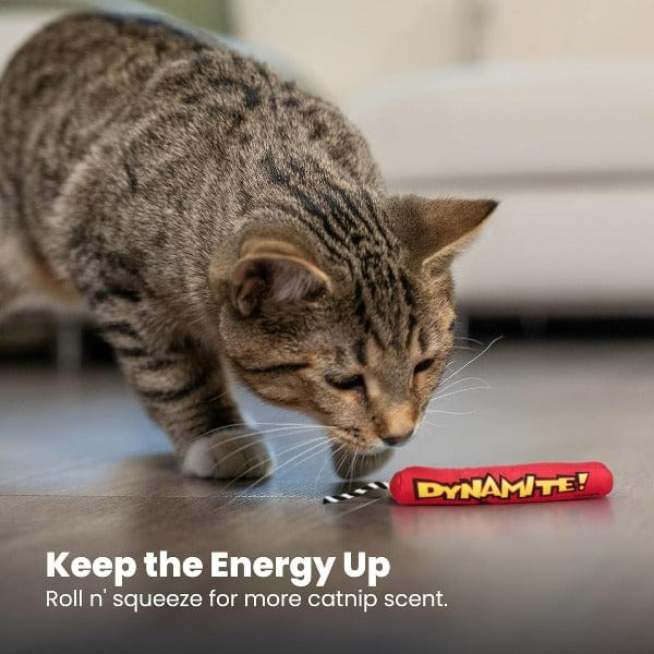 Outward Hound Petstages Dynamite Cat Toy