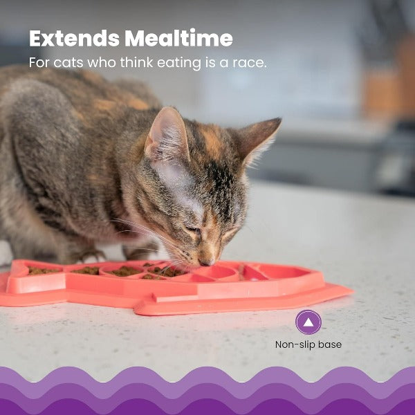 Petstages Fishie Mat Slow Feeder for Cats – Petland Canada