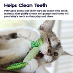 Outward Hound Petstages Fresh Breath Mint Stick Cat Toy