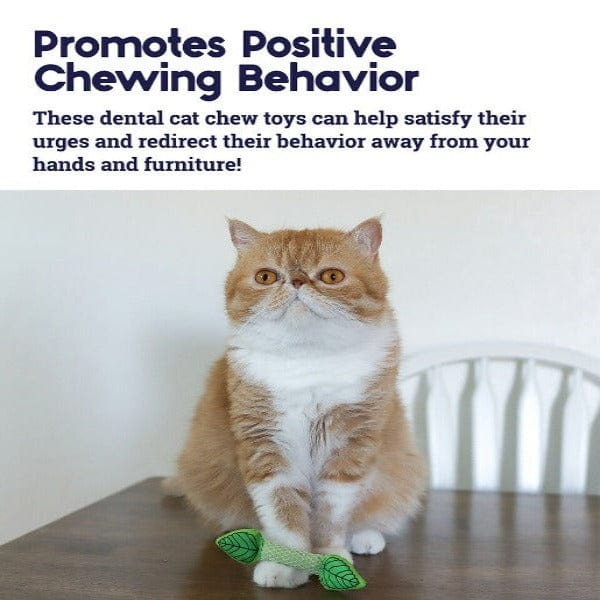 Outward Hound Petstages Fresh Breath Mint Stick Cat Toy