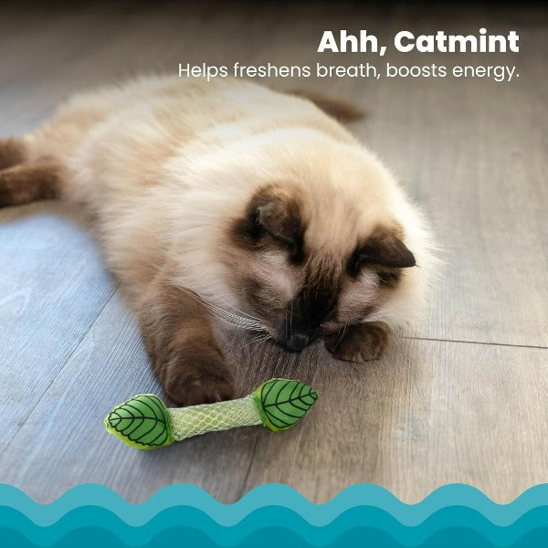 Outward Hound Petstages Fresh Breath Mint Stick Cat Toy