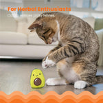 Outward Hound Petstages Lil' Avocato Cat Toy