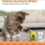 Outward Hound Petstages Lil' Avocato Cat Toy