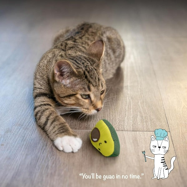 Outward Hound Petstages Lil' Avocato Cat Toy