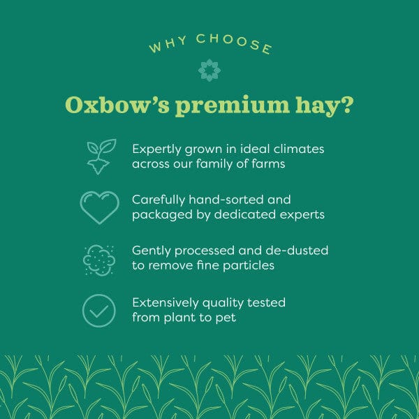 Oxbow Oxbow Alfalfa Hay