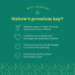 Oxbow Oxbow Alfalfa Hay