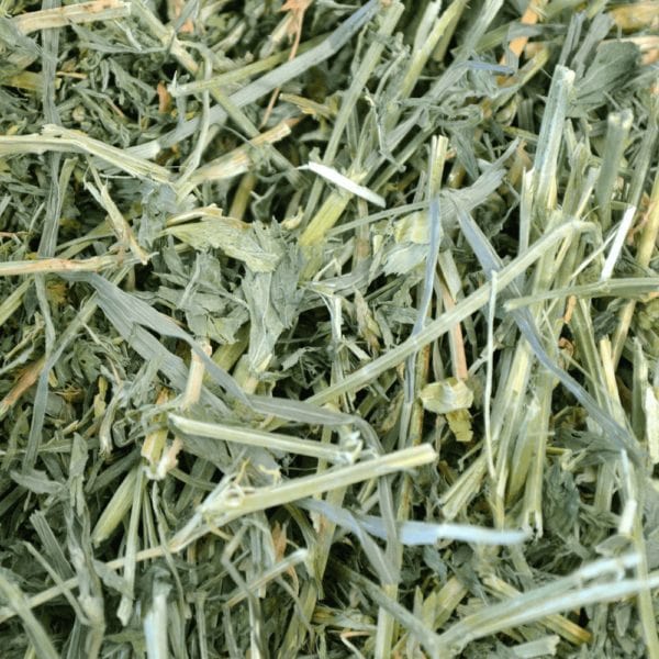 Oxbow Oxbow Alfalfa Hay