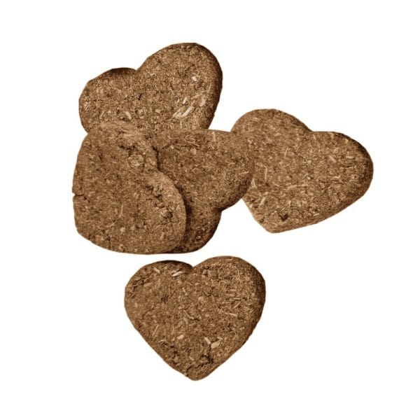 Oxbow Oxbow Bene Terra Organic Barley Biscuits