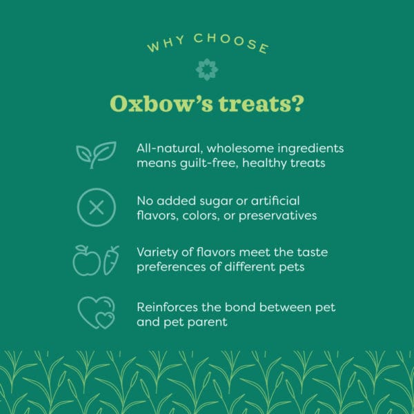 Oxbow Oxbow Bene Terra Organic Barley Biscuits